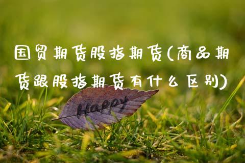 国贸期货股指期货(商品期货跟股指期货有什么区别)_https://www.zztgc.com_黄金期货_第1张