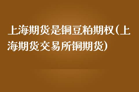 上海期货是铜豆粕期权(上海期货交易所铜期货)_https://www.zztgc.com_原油期货_第1张