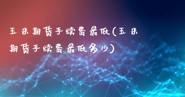 玉米期货手续费最低(玉米期货手续费最低多少)_https://www.zztgc.com_期货入门_第1张