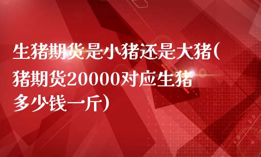 生猪期货是小猪还是大猪(猪期货20000对应生猪多少钱一斤)_https://www.zztgc.com_期货开户_第1张