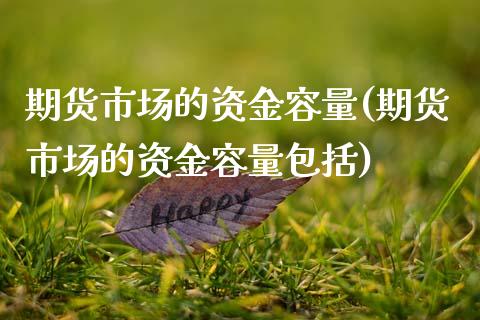 期货市场的资金容量(期货市场的资金容量包括)_https://www.zztgc.com_期货行情_第1张