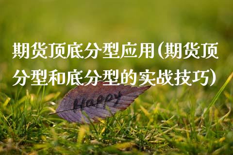 期货顶底分型应用(期货顶分型和底分型的实战技巧)_https://www.zztgc.com_黄金期货_第1张