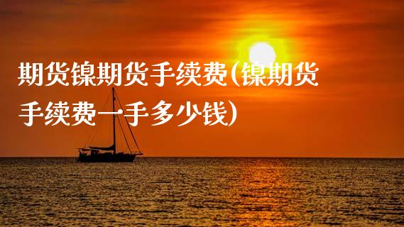 期货镍期货手续费(镍期货手续费一手多少钱)_https://www.zztgc.com_黄金期货_第1张