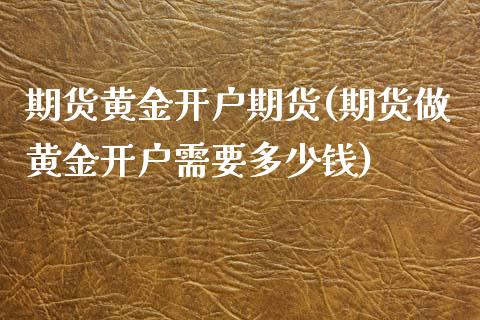 期货黄金开户期货(期货做黄金开户需要多少钱)_https://www.zztgc.com_原油期货_第1张