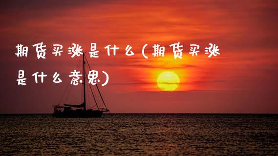 期货买涨是什么(期货买涨是什么意思)_https://www.zztgc.com_黄金期货_第1张