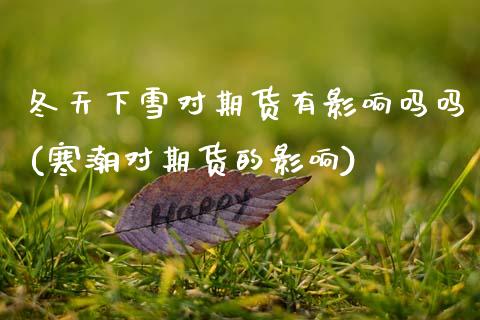 冬天下雪对期货有影响吗吗(寒潮对期货的影响)_https://www.zztgc.com_期货行情_第1张