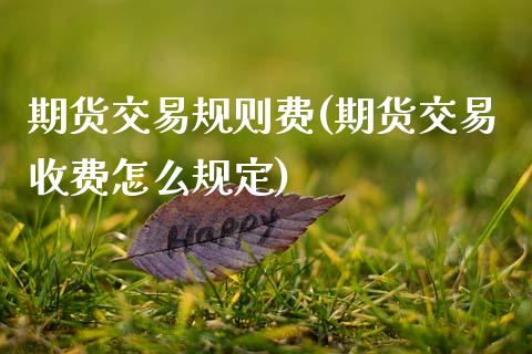 期货交易规则费(期货交易收费怎么规定)_https://www.zztgc.com_期货开户_第1张