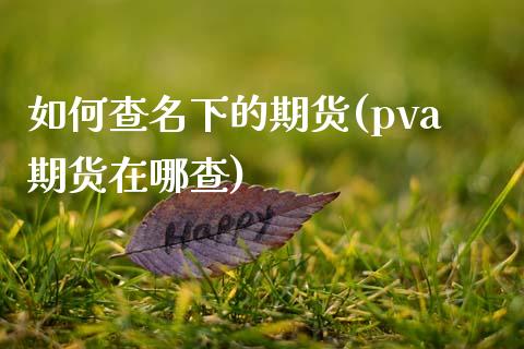 如何查名下的期货(pva期货在哪查)_https://www.zztgc.com_期货入门_第1张