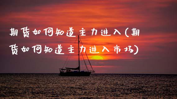期货如何知道主力进入(期货如何知道主力进入市场)_https://www.zztgc.com_原油期货_第1张