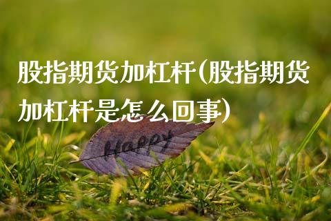 股指期货加杠杆(股指期货加杠杆是怎么回事)_期货入门_第1张_珍投期货网 股指期货加杠杆(股指期货加杠杆是怎么回事)_https://www.zztgc.com_期货入门_第1张