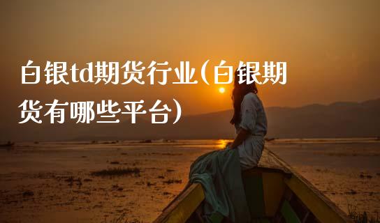 白银td期货行业(白银期货有哪些平台)_https://www.zztgc.com_原油期货_第1张