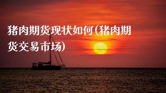 猪肉期货现状如何(猪肉期货交易市场)_https://www.zztgc.com_黄金期货_第1张