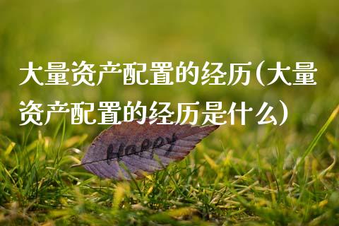 大量资产配置的经历(大量资产配置的经历是什么)_https://www.zztgc.com_期货直播_第1张