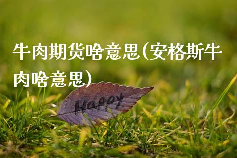 牛肉期货啥意思(安格斯牛肉啥意思)_https://www.zztgc.com_期货入门_第1张
