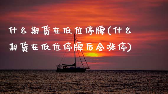 什么期货在低位停牌(什么期货在低位停牌后会涨停)_https://www.zztgc.com_黄金期货_第1张