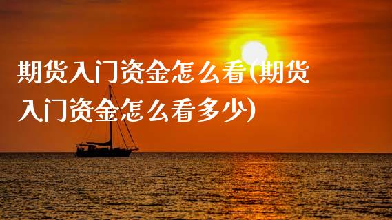 期货入门资金怎么看(期货入门资金怎么看多少)_https://www.zztgc.com_原油期货_第1张