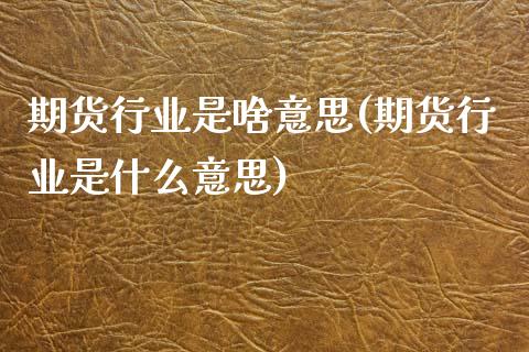 期货行业是啥意思(期货行业是什么意思)_https://www.zztgc.com_期货入门_第1张
