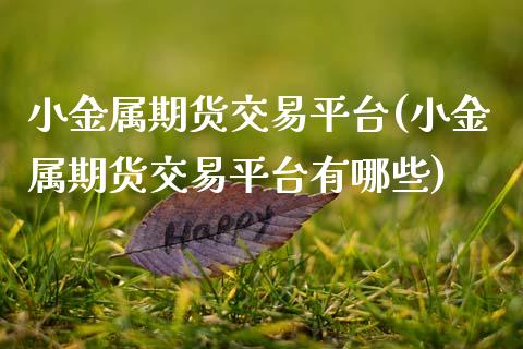 小金属期货交易平台(小金属期货交易平台有哪些)_https://www.zztgc.com_期货入门_第1张