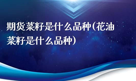 期货菜籽是什么品种(花油菜籽是什么品种)_https://www.zztgc.com_期货直播_第1张