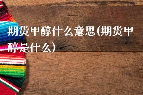 期货甲醇什么意思(期货甲醇是什么)_https://www.zztgc.com_黄金期货_第1张
