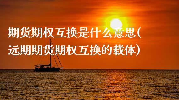 期货期权互换是什么意思(远期期货期权互换的载体)_https://www.zztgc.com_期货行情_第1张