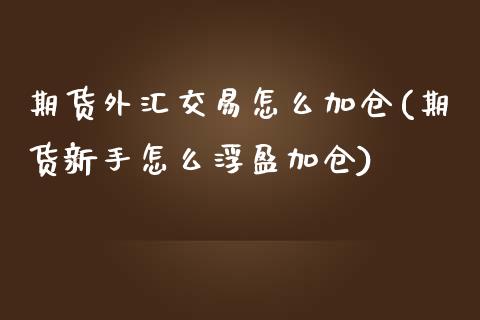 期货外汇交易怎么加仓(期货新手怎么浮盈加仓)_https://www.zztgc.com_期货入门_第1张