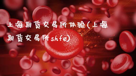 上海期货交易所体验(上海期货交易所shfe)_https://www.zztgc.com_期货入门_第1张