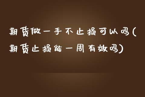 期货做一手不止损可以吗(期货止损能一周有效吗)_https://www.zztgc.com_原油期货_第1张