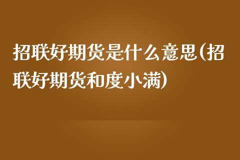 招联好期货是什么意思(招联好期货和度小满)_https://www.zztgc.com_期货行情_第1张