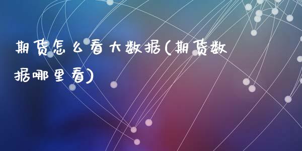期货怎么看大数据(期货数据哪里看)_https://www.zztgc.com_原油期货_第1张