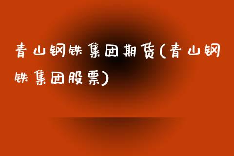青山钢铁集团期货(青山钢铁集团股票)_https://www.zztgc.com_期货行情_第1张