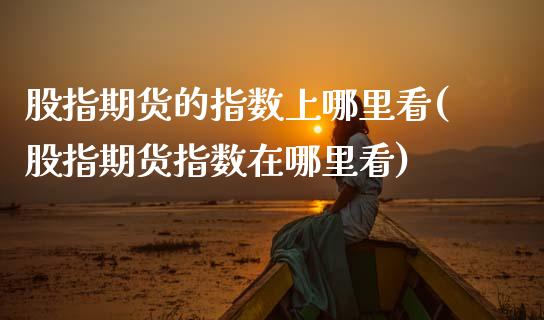 股指期货的指数上哪里看(股指期货指数在哪里看)_https://www.zztgc.com_期货行情_第1张