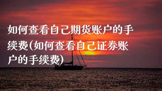 如何查看自己期货账户的手续费(如何查看自己证券账户的手续费)_https://www.zztgc.com_原油期货_第1张