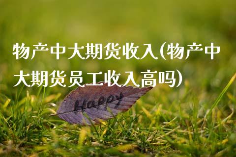 物产中大期货收入(物产中大期货员工收入高吗)_https://www.zztgc.com_期货行情_第1张