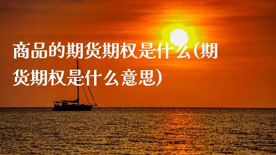 商品的期货期权是什么(期货期权是什么意思)_https://www.zztgc.com_期货入门_第1张