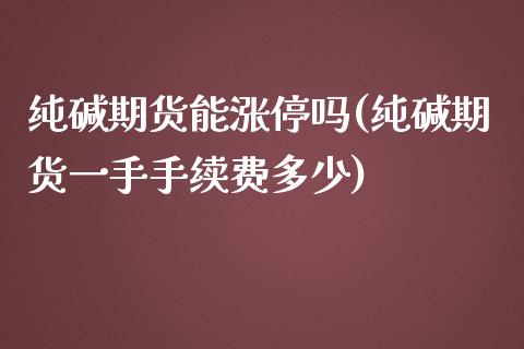 纯碱期货能涨停吗(纯碱期货一手手续费多少)_https://www.zztgc.com_原油期货_第1张