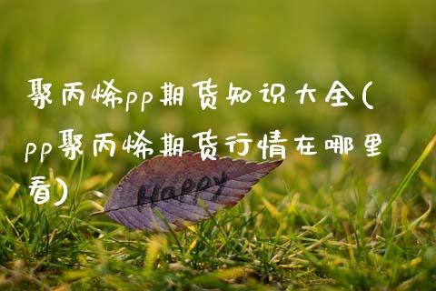 聚丙烯pp期货知识大全(pp聚丙烯期货行情在哪里看)_期货直播_第1张_珍投期货网 聚丙烯pp期货知识大全(pp聚丙烯期货行情在哪里看)_https://www.zztgc.com_期货直播_第1张