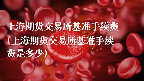 上海期货交易所基准手续费(上海期货交易所基准手续费是多少)_https://www.zztgc.com_期货行情_第1张