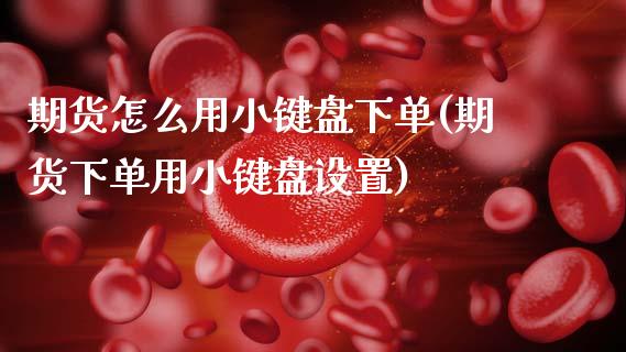 期货怎么用小键盘下单(期货下单用小键盘设置)_https://www.zztgc.com_期货行情_第1张