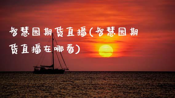 智慧园期货直播(智慧园期货直播在哪看)_https://www.zztgc.com_期货行情_第1张