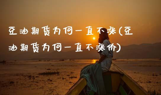 豆油期货为何一直不涨(豆油期货为何一直不涨价)_https://www.zztgc.com_期货行情_第1张