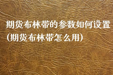 期货布林带的参数如何设置(期货布林带怎么用)_https://www.zztgc.com_期货开户_第1张