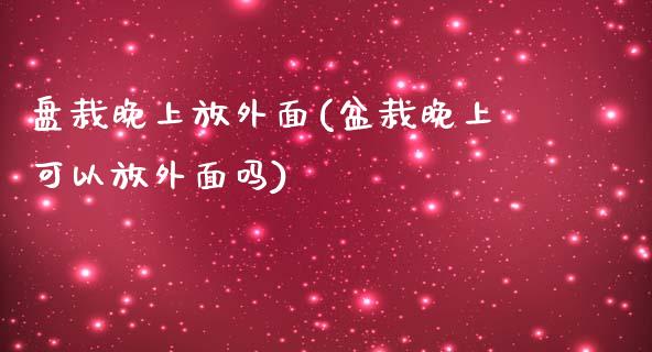 盘栽晚上放外面(盆栽晚上可以放外面吗)_https://www.zztgc.com_黄金期货_第1张