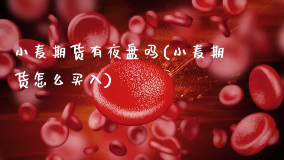 小麦期货有夜盘吗(小麦期货怎么买入)_https://www.zztgc.com_期货入门_第1张