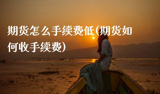 期货怎么手续费低(期货如何收手续费)_https://www.zztgc.com_黄金期货_第1张