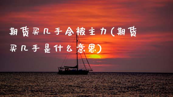 期货买几手会被主力(期货买几手是什么意思)_https://www.zztgc.com_原油期货_第1张