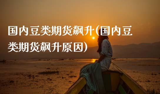 国内豆类期货飙升(国内豆类期货飙升原因)_https://www.zztgc.com_原油期货_第1张