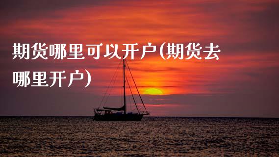 期货哪里可以开户(期货去哪里开户)_https://www.zztgc.com_期货直播_第1张