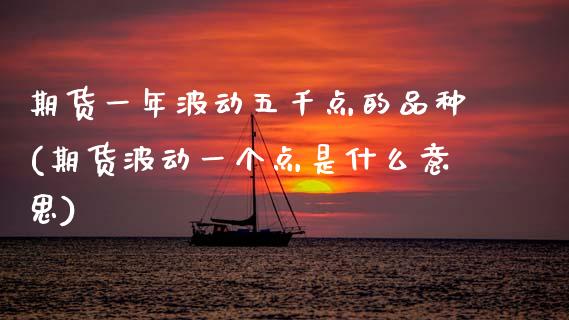 期货一年波动五千点的品种(期货波动一个点是什么意思)_https://www.zztgc.com_期货行情_第1张