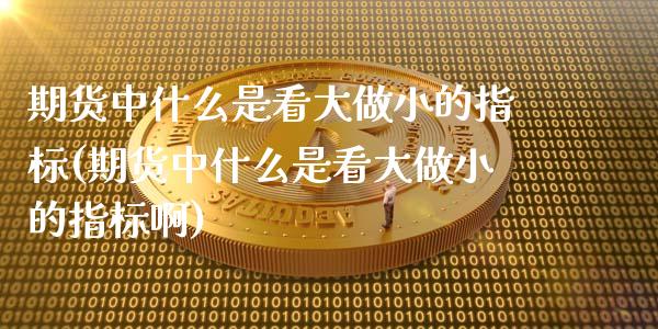期货中什么是看大做小的指标(期货中什么是看大做小的指标啊)_https://www.zztgc.com_期货行情_第1张